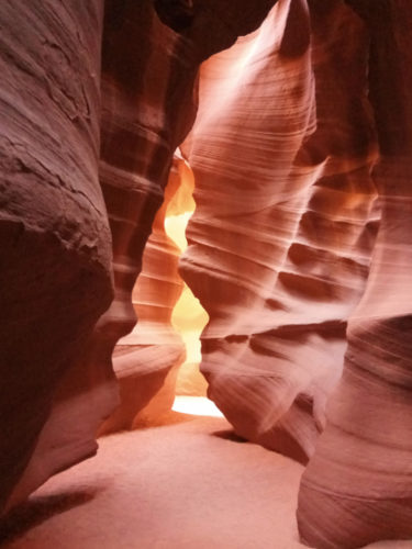 Wealth Management Sandy UT